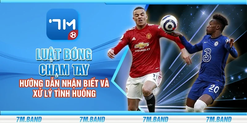 Luật bóng chạm tay - Hướng dẫn nhận biết và xử lý tình huống